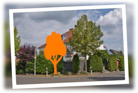 Hier fehlt ein Baum